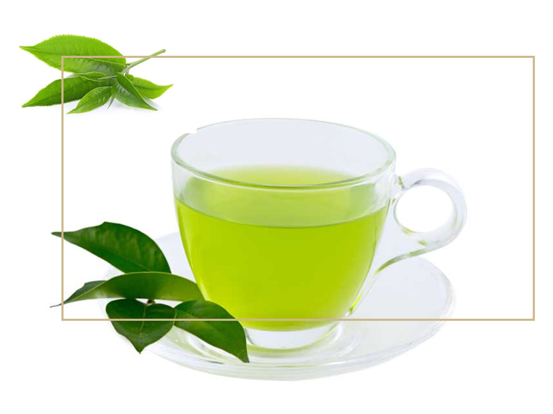 چه کسانی نباید چای سبز بخورند