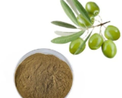 عصاره برگ زیتون