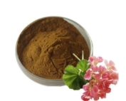 pelargonium-extract