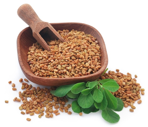 Fenugreek